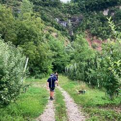 Richtung Dorf Ruinen