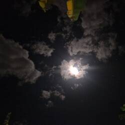 Star gazing by the pool