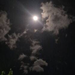 Star gazing by the pool