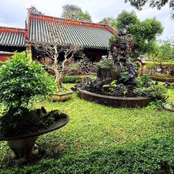Et un tout petit bout de son jardin royal