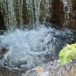 Rainforest waterfall