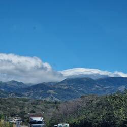 View from the van