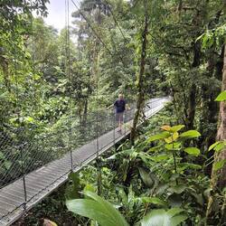 Die Brücken sind bis 100 m lang und 50 m hoch