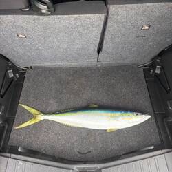 De vangst van vandaag!