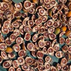 Das trocknen Sie hier überall