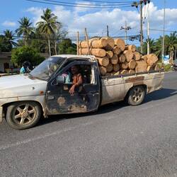Holztransport mal Anders