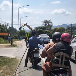 Unterwegs haben sie nochmal schnell einen Baum gefällt und einfach kurzer Hand die Straße gesperrt