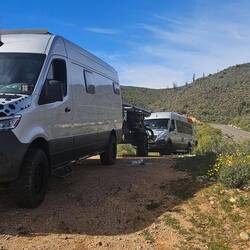 We stop to view the Valle de los Cirios, a protective biosphere portion of the Sonoran desert