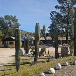 Ranch sits under shade