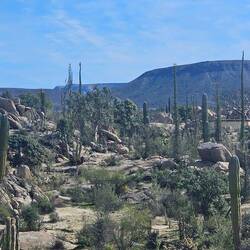 Gorgeous desert landscape