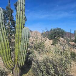 Pictures can't do it justice