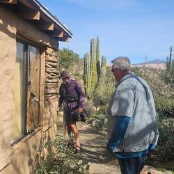Cabin is made from cacti & natural materials