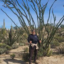 This is a large cactus