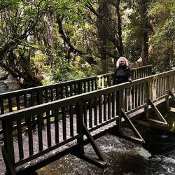 Weg zum Purakaunui Wasserfall