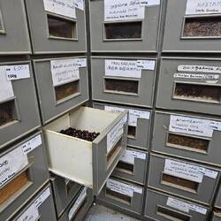 Ganze Regale voll mit intensiv duftenden Gewürzen.