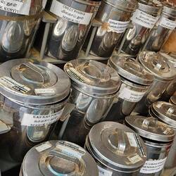 Unterschiedliche Gewürze in riesengroßen Behältnissen.