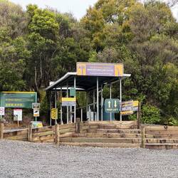 Vor Betreten des Waldes das obligatorische Schuhputzritual zum Schutz der Baumbestände