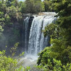 Die Rainbow Falls - mit 27 Metern die höchsten Fälle am Ort