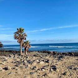 Ein Spot für Wellenreiter