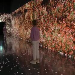 Flower walk, es duftet nach Rosen 🌹