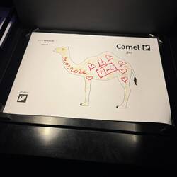 Wir haben ein Kamel ausgemalt und eingescannt