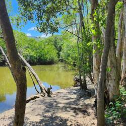 Something is lurking I'm sure!