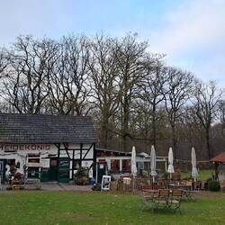 Mitten in der Heide, der Heidekönig!😁👍