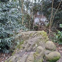 Ist das Kunst oder Hallux Valgus?🤔