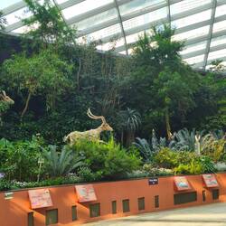 Flower Dome