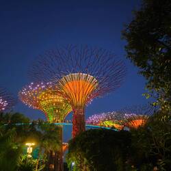 zurück in den Gardens of the Bay..