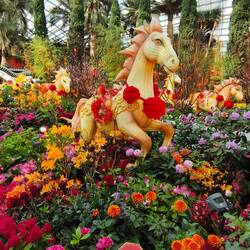Flower Dome