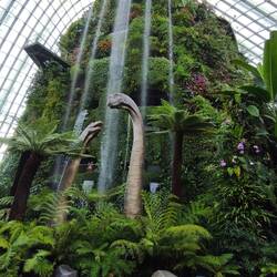 Cloud Forrest....