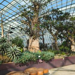 Flower Dome
