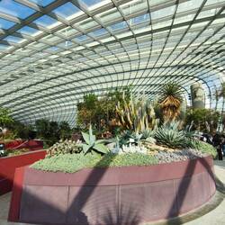 Flower Dome