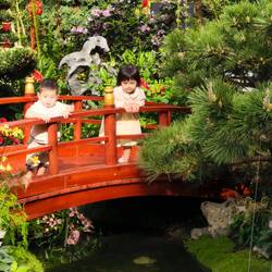 Flower Dome