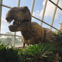 ... a la Jurassic Park 😅