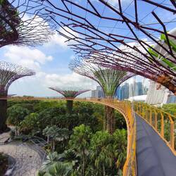 OCBC Skywalk