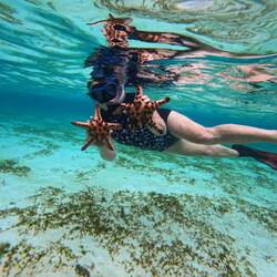 Mine are bigger than yours!