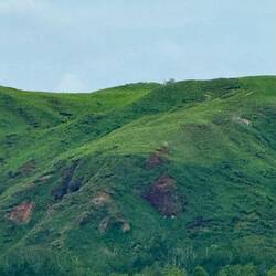 And how they look in the wet!