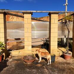 Different types of cut blocks