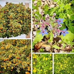 Die Natur lässt sich nicht beirren