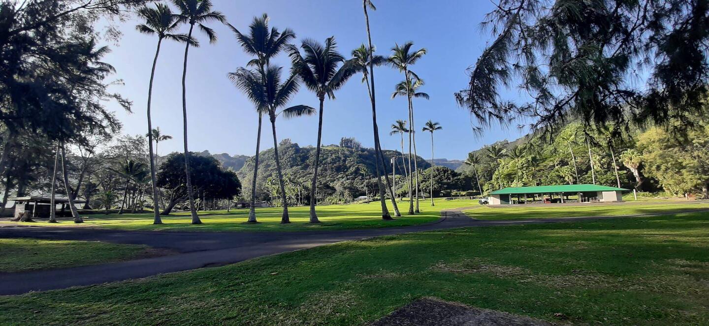 Parc de Laupahoehoe