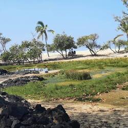 Plage d'un resort