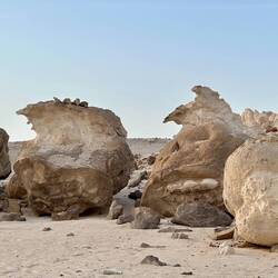 Rock Garden