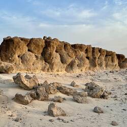 Rock Garden
