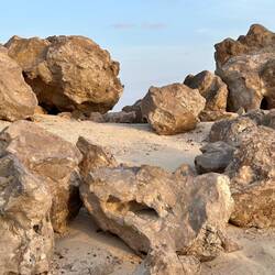 Rock Garden