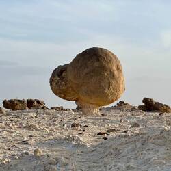 Rock Garden