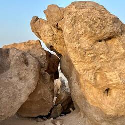 Rock Garden