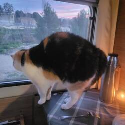 Irgendetwas geht Leni gegen den Strich.