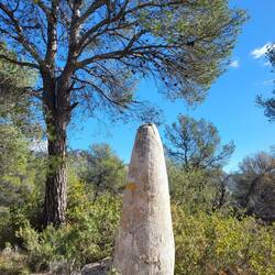 Verlaufen unmöglich!